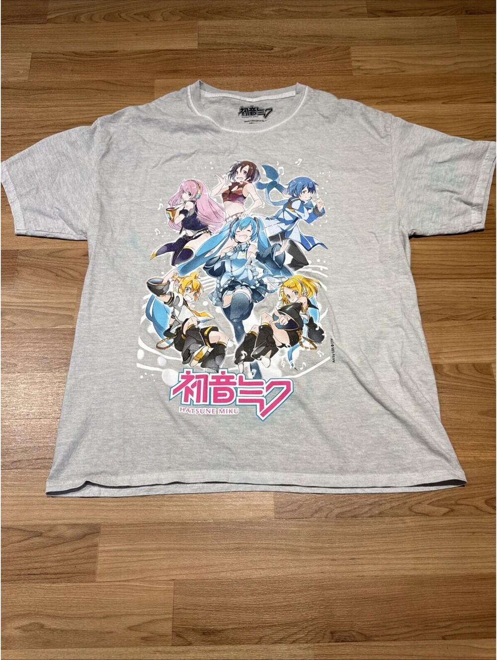 Hatsune Miku T-Shirt Adult M/L Graphic Tee Group Melody Vocaloid Crypton Future